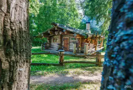 в лесу - 13