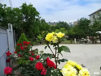 Гостевой дом на Дружбы 11 - 41
