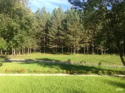 Сосновый бор Ачинск - 41
