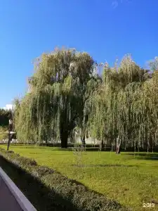 Русская охота - 88