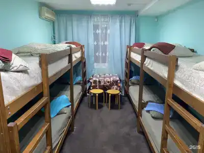 Фикус - 3