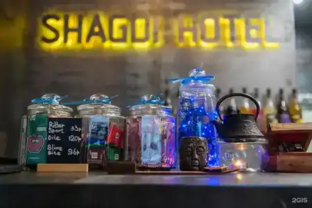 Shagdi - 9