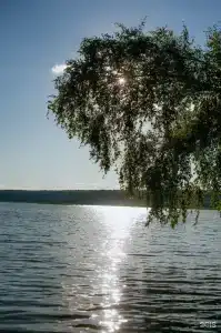 Полянка - 17