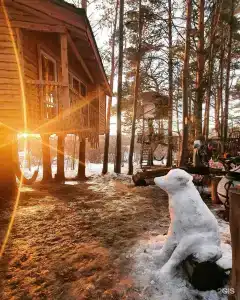 Гнездо - 63