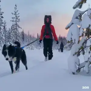Хаски Кэмп - 23