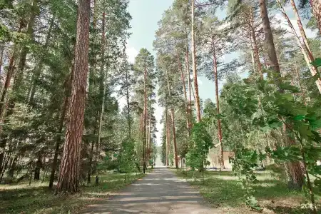 Салют - 53