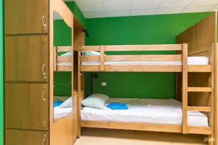 Тайга Нск - 42