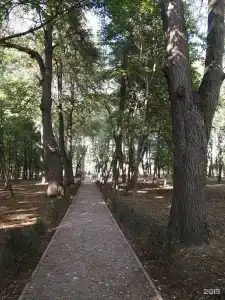Богородское - 21