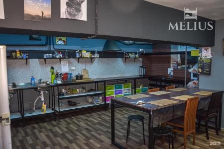 Мелиус Трофимова - 23