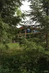 У Борисыча - 29