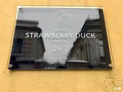 Strawberry Duck Moscow - 78