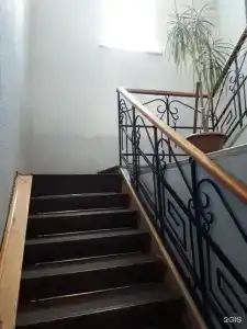 Сясь - 20