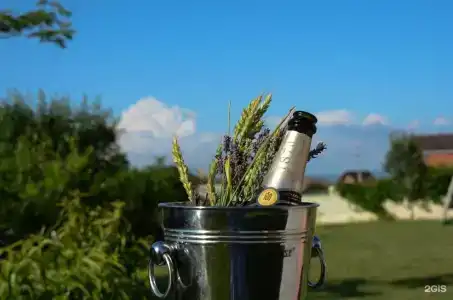 Александрия - 25