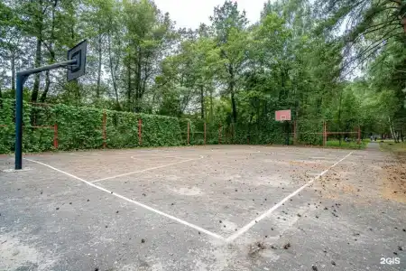 Русский лес - 4