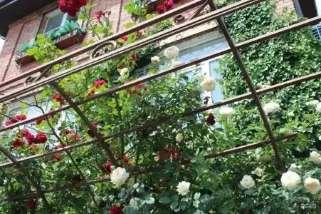У Друзей - 29
