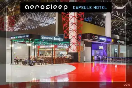 aerosleep Terminal В-общая зона - 24