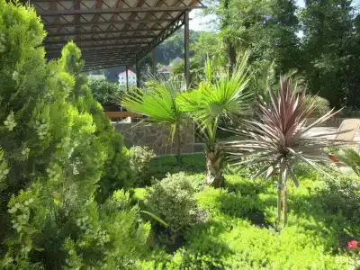 Добрый кит - 17