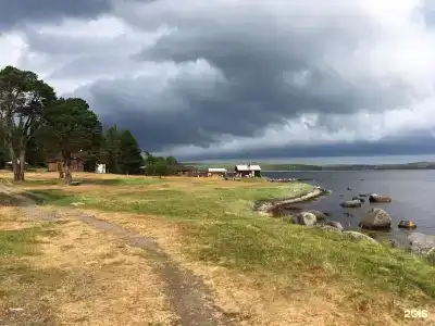 Кедр Грасс Белое Море - 118