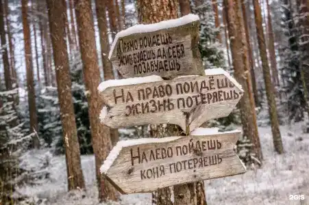 Загородный отель Райвола - 44