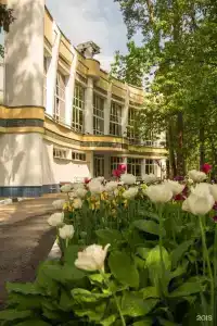 Сосны - 33