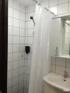 Зеленый Бор - 22