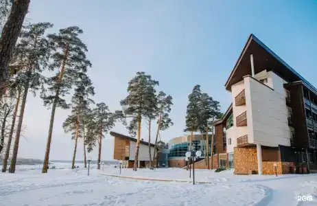 Чайка - 43