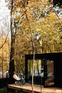 Силы ветра - 65