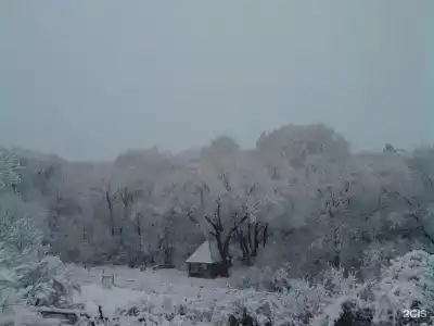 У Родника - 47