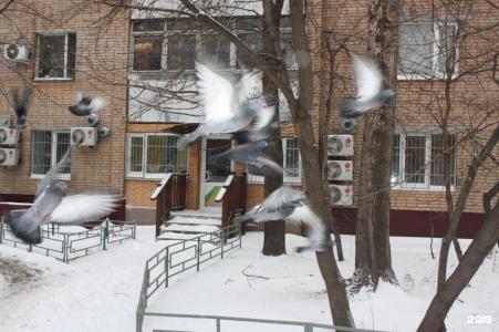 Лен инн люкс - 24