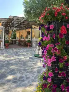 Шале - 19