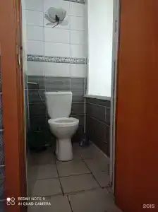 Панда - 17