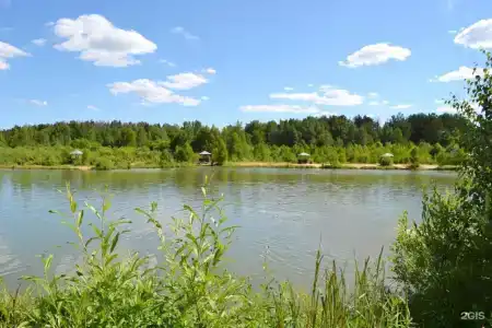 Литвиново - 26
