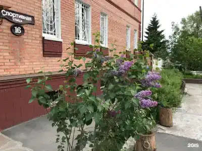 Виноград - 55