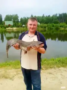 Литвиново - 152