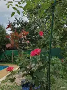Мещерино - 19