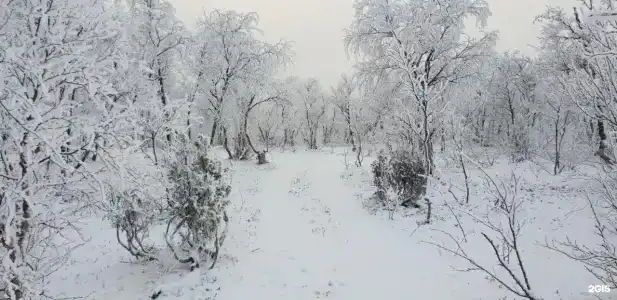 Териберка Тур - 69