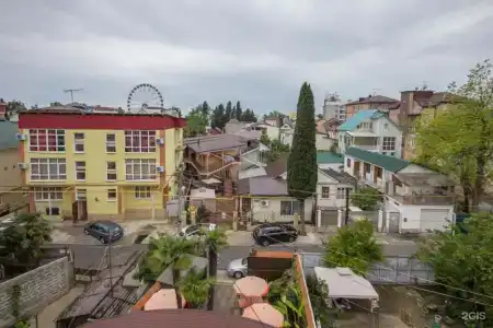 Пальмира - 24