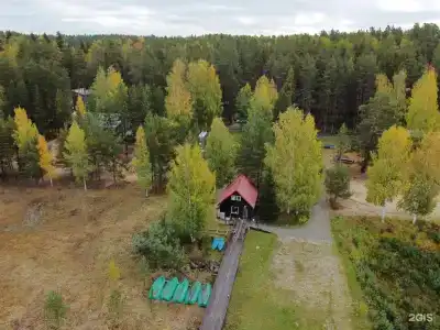 Шишки - 45