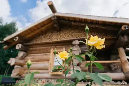 Усадьба Долгорукий - 19