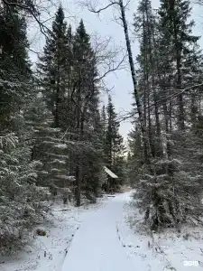 HomeSweetHome - 28