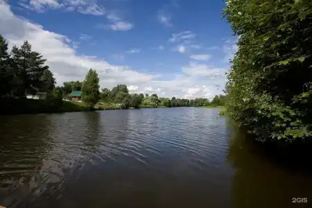 Ефимов бор - 22