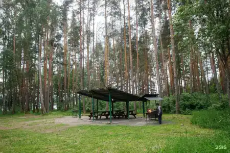 Лосево Парк - 136