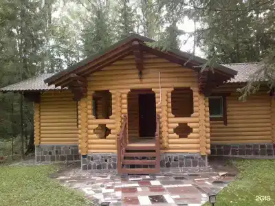 Березовая роща - 18