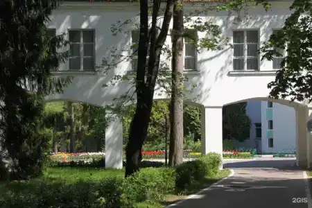 Сосны - 66