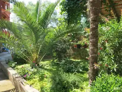 Добрый кит - 33