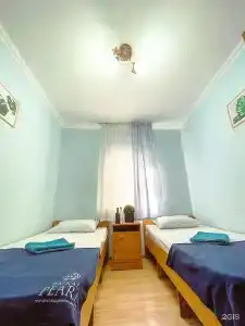 Киви и Цитрус - 48