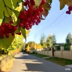 Башня в Царицыно - 15