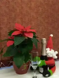 Мебелированные комнаты Курская 10 - 12