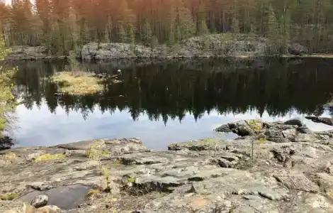 Усадьба Гирвас - 17