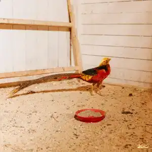 El Rancho - 147